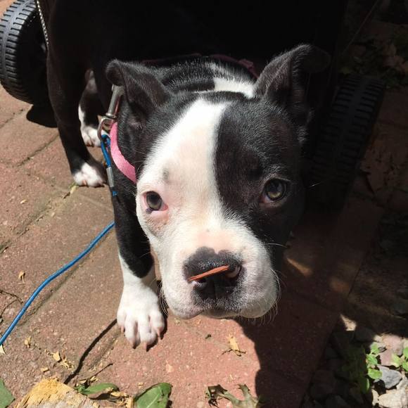 Meet your Posher, Paul - Picture 1 of 1